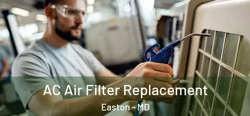  AC Air Filter Replacement Easton - MD