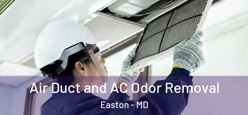  Air Duct and AC Odor Removal Easton - MD