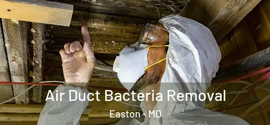  Air Duct Bacteria Removal Easton - MD