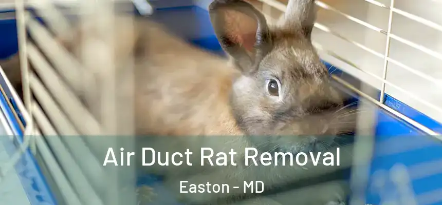  Air Duct Rat Removal Easton - MD