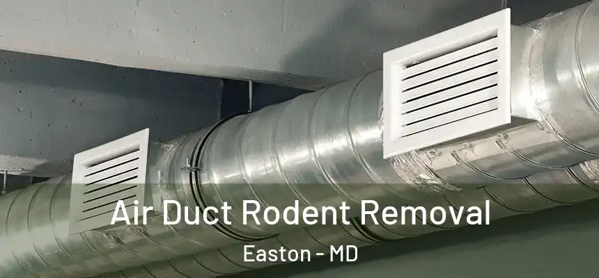  Air Duct Rodent Removal Easton - MD