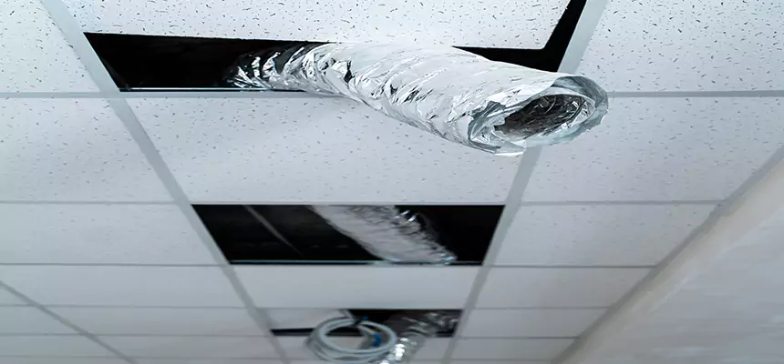 Our Air Duct Pet Hair Removal Services in Easton, MD