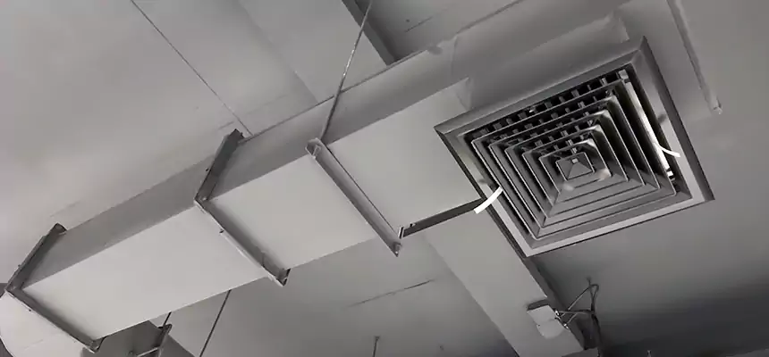 Our Pest Removal From Ducts Services in Easton, MD