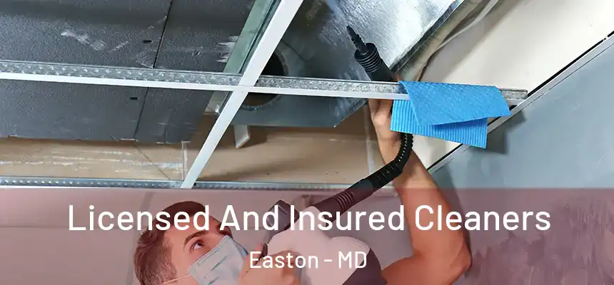  Licensed And Insured Cleaners Easton - MD