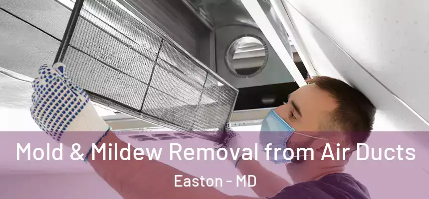  Mold & Mildew Removal from Air Ducts Easton - MD
