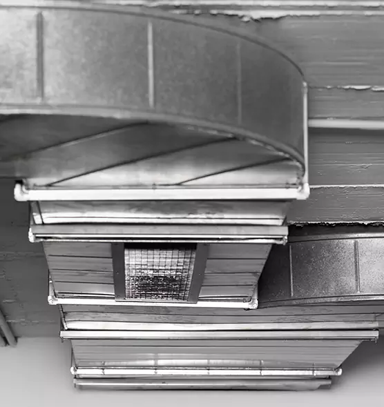 Professional Air Duct Pest Removal in Easton, MD