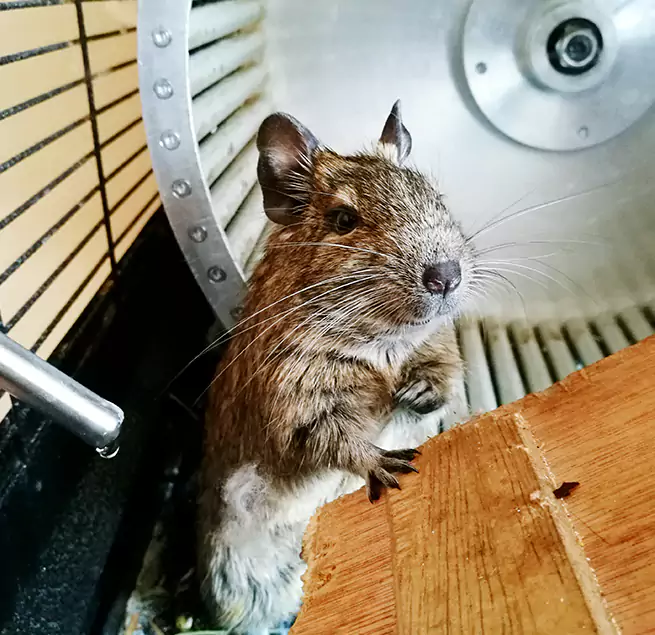 Why Homeowners & Businesses Trust Us Easton, MD