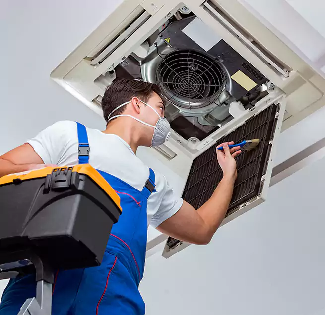 Why Homeowners & Businesses Trust Us in Easton, MD