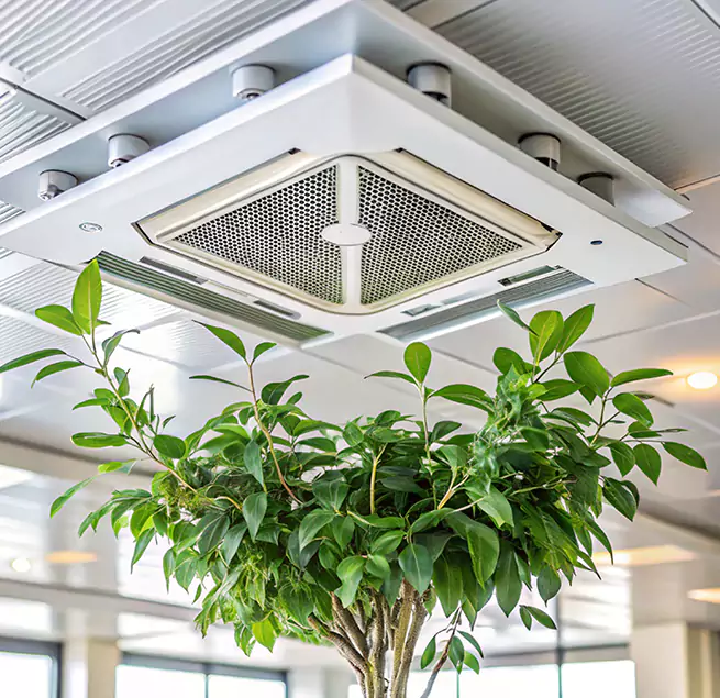 Why Homeowners & Businesses Trust Us in Easton, MD