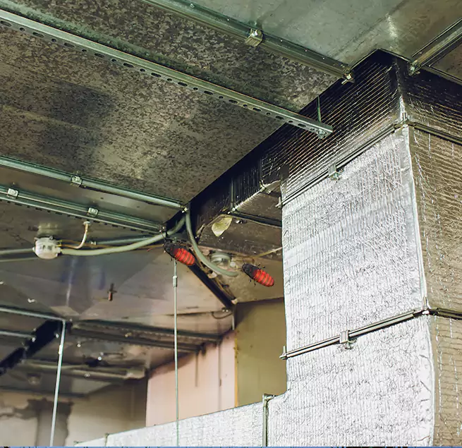 Why Homeowners & Businesses Trust Us Easton, MD?