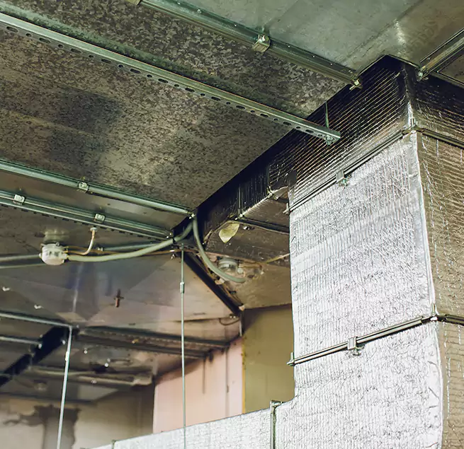 Why Homeowners & Businesses Trust Us in Easton, MD?