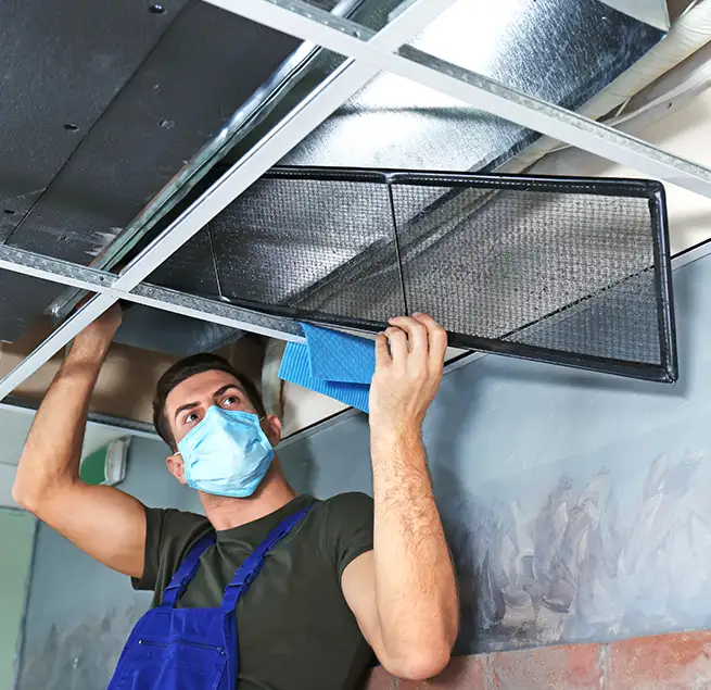 Why Homeowners & Businesses Trust Us in Easton, MD?